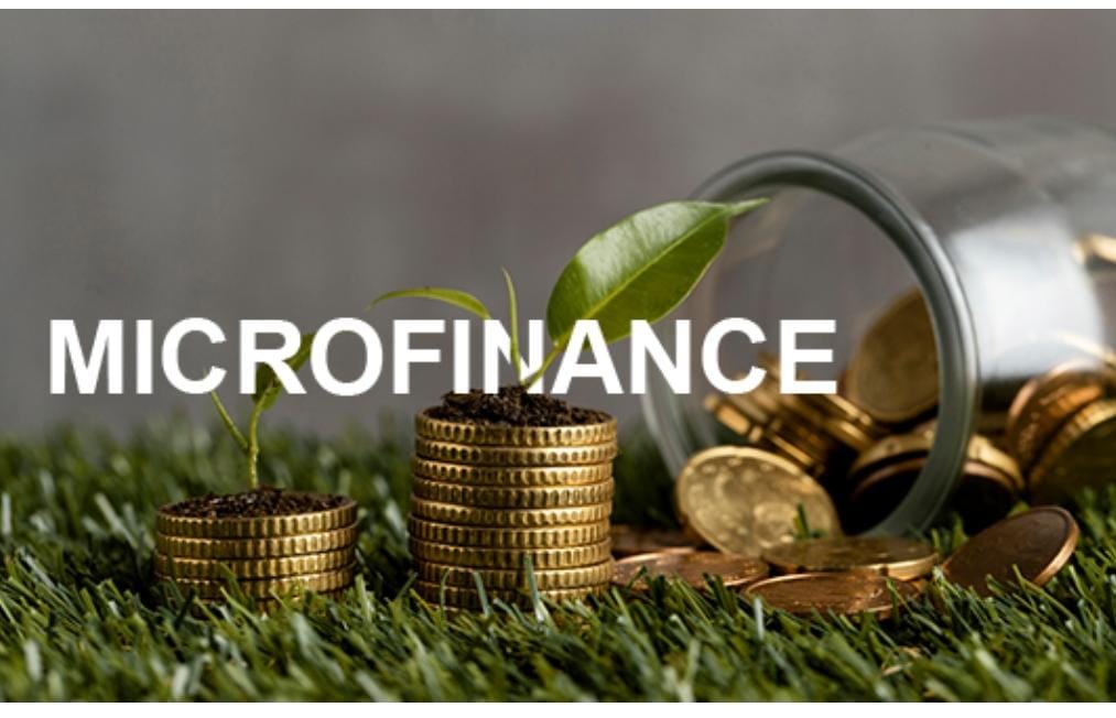 UMOA : Zoom sur les plus grandes institutions de microfinance